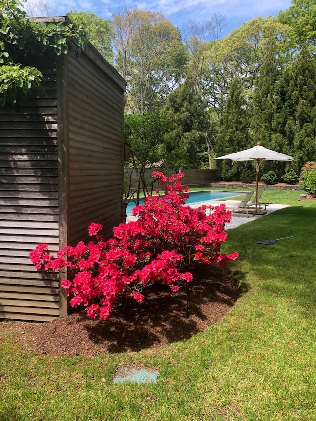 view of yard featuring an outdoor pool