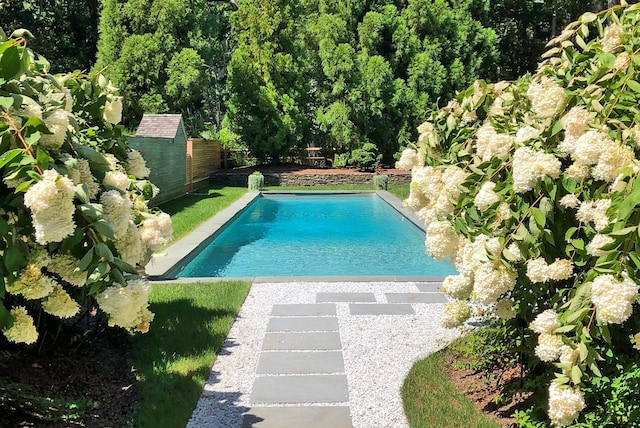 pool with a fenced backyard