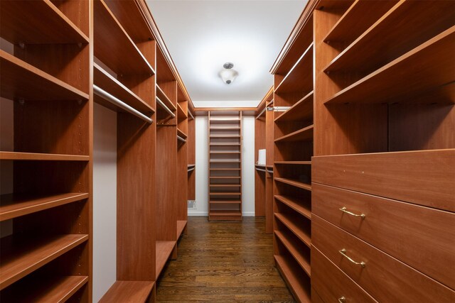 walk in closet with dark wood-style flooring