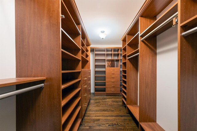 walk in closet featuring dark wood-style floors