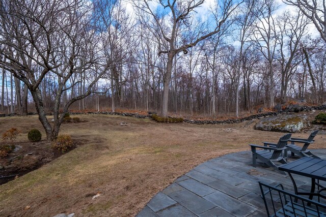 view of yard with a patio area