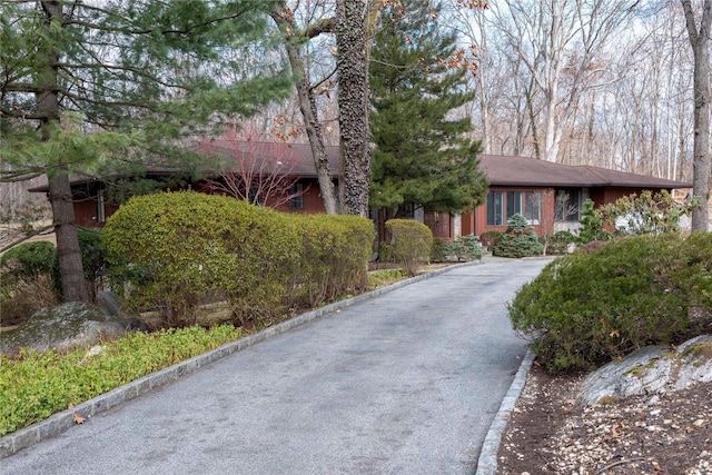 single story home with driveway