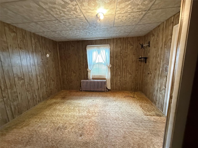 119 Verplanck Ave, Beacon, NY 12508 - spare room featuring radiator, carpet flooring, and wooden walls