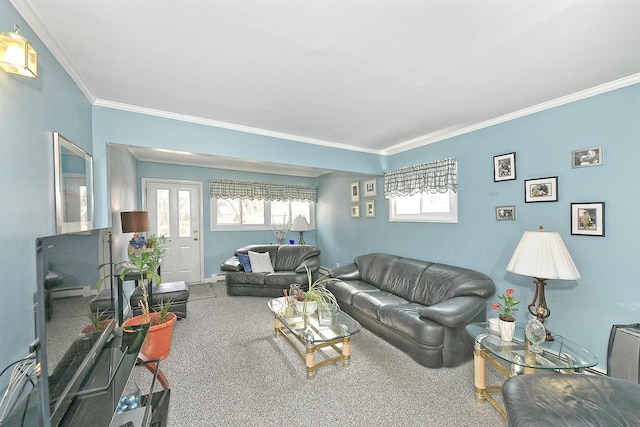 living area with ornamental molding, baseboards, and carpet floors