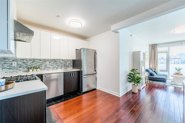 kitchen featuring backsplash, light countertops, range hood, dark wood-style floors, and stainless steel appliances