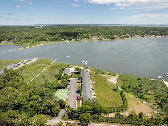 birds eye view of property with a forest view and a water view