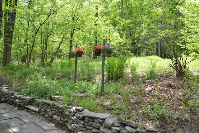 237 Trout Brook Rd, Roscoe, NY 12776 - view of yard featuring a wooded view