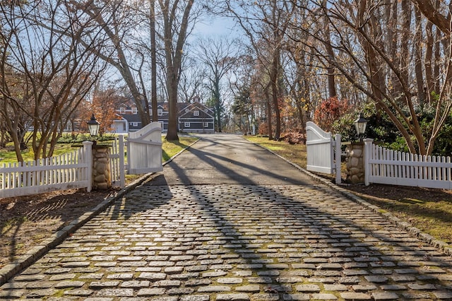 view of road with street lights, decorative driveway, and a gate