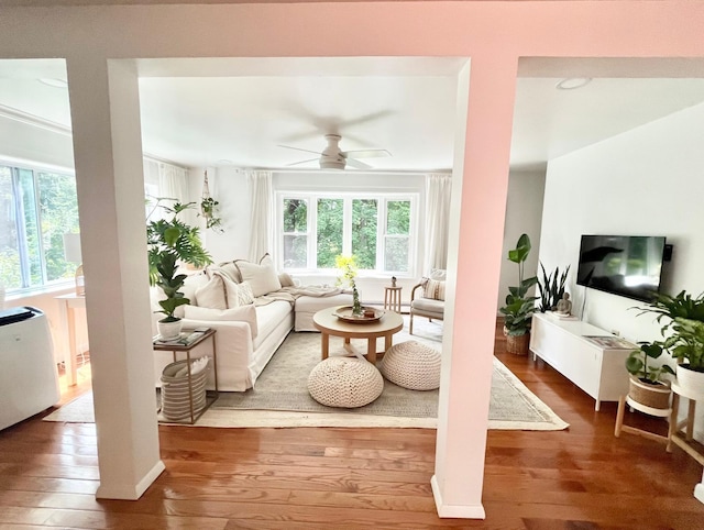living area featuring wood-type flooring, a ceiling fan, and plenty of natural light