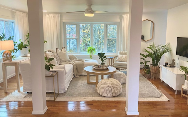 living area with ceiling fan and wood-type flooring