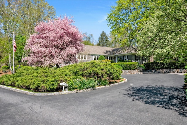 33 N Way, Chappaqua, NY 10514 - view of front of home with aphalt driveway