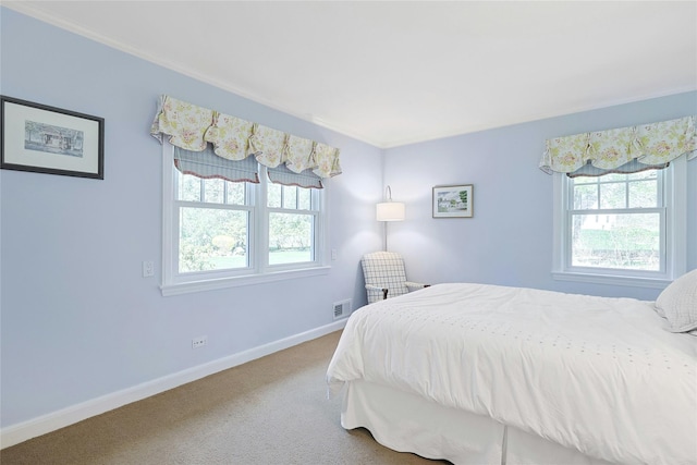 33 N Way, Chappaqua, NY 10514 - carpeted bedroom with crown molding, baseboards, multiple windows, and visible vents