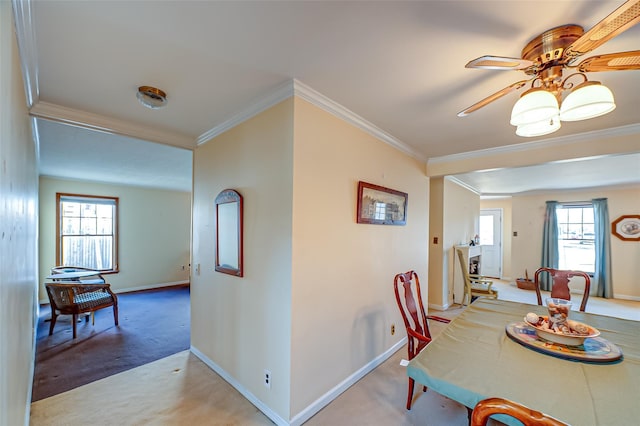 dining space featuring ceiling fan, baseboards, carpet floors, and ornamental molding