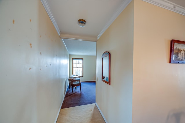 hall with carpet flooring, crown molding, and baseboards