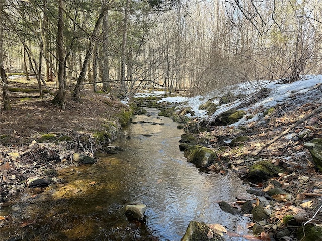 view of local wilderness