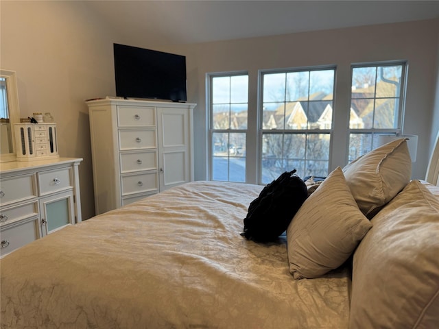 bedroom featuring multiple windows