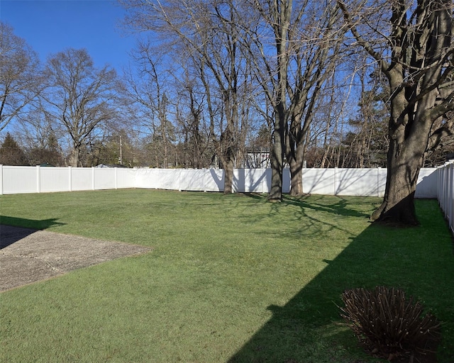 view of yard with a fenced backyard