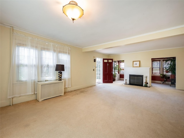 679 Saint Lukes Pl, Baldwin, NY 11510 - unfurnished living room featuring carpet flooring, a fireplace, plenty of natural light, and ornamental molding