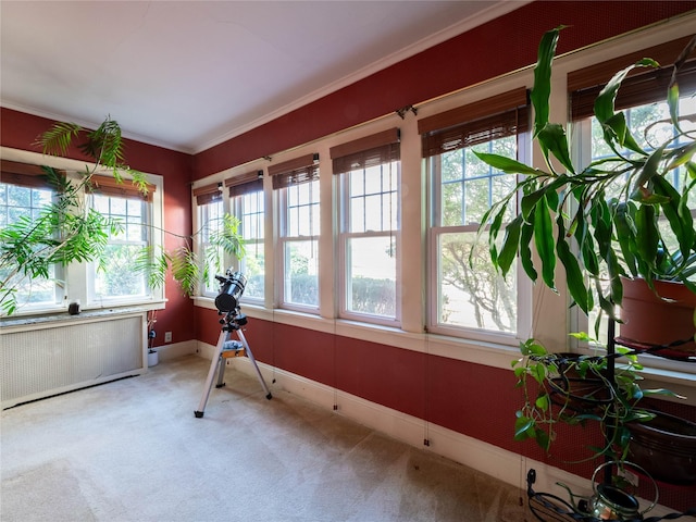 679 Saint Lukes Pl, Baldwin, NY 11510 - sunroom featuring radiator heating unit, plenty of natural light, carpet flooring, and crown molding