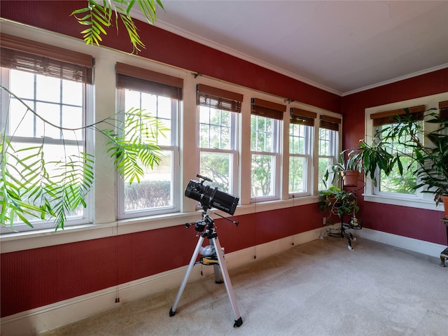 679 Saint Lukes Pl, Baldwin, NY 11510 - exercise room with carpet flooring and crown molding
