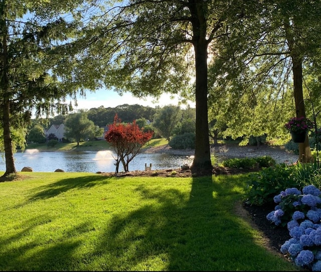 view of yard featuring a water view