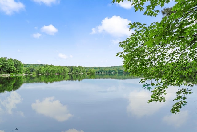 view of water feature with a forest view