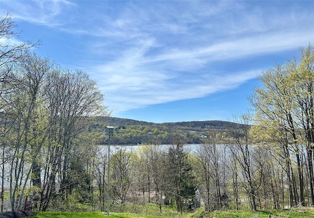 26 Curry Ln, Hyde Park, NY 12538 - view of water feature with a view of trees