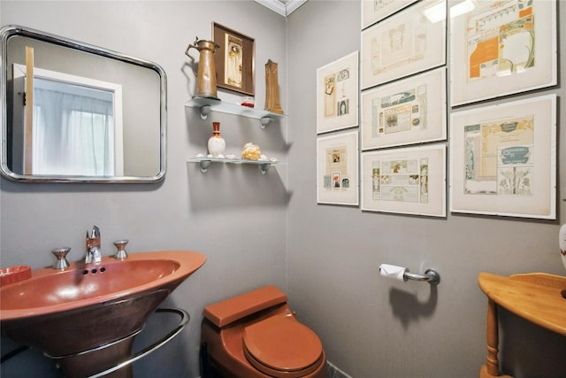 half bath with crown molding, a sink, and toilet