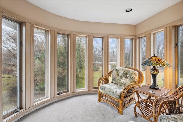 sunroom featuring carpet