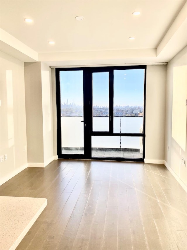 spare room featuring plenty of natural light, wood finished floors, and baseboards