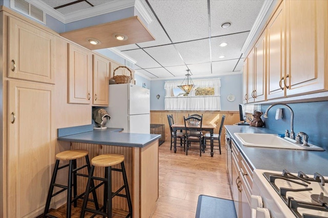 kitchen with white appliances, dark countertops, ornamental molding, and wainscoting