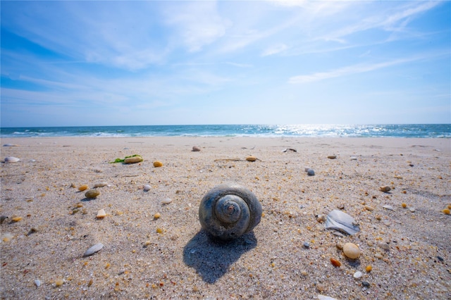 view of water feature with a beach view