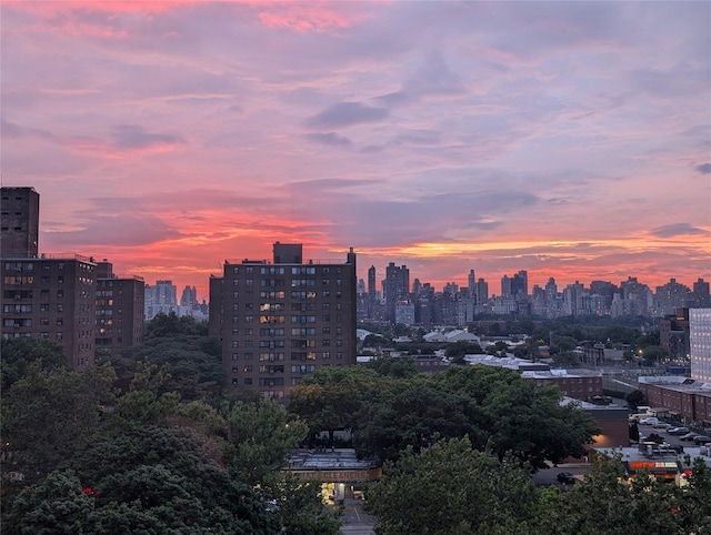 21-20 33rd Rd Unit 10B, Astoria, NY 11106 - view of city skyline