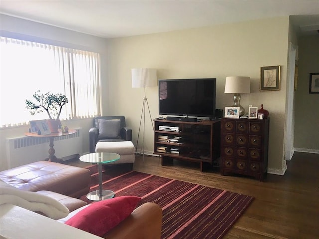 living area featuring radiator, baseboards, and wood finished floors