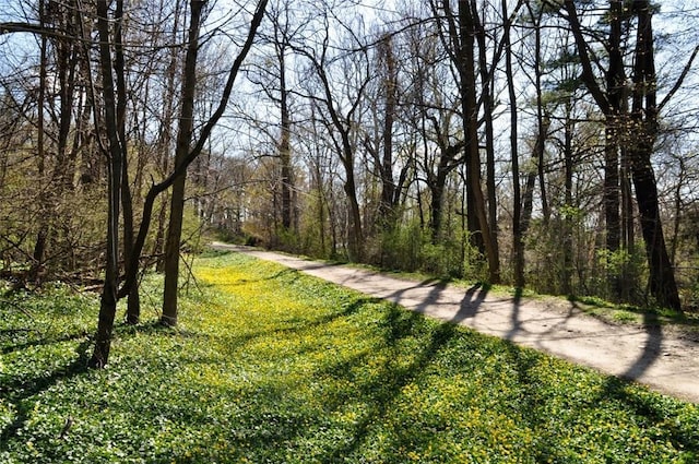 view of home's community featuring a yard and a wooded view