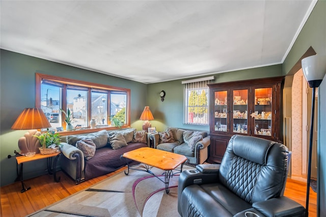 living room with wood-type flooring, plenty of natural light, and crown molding