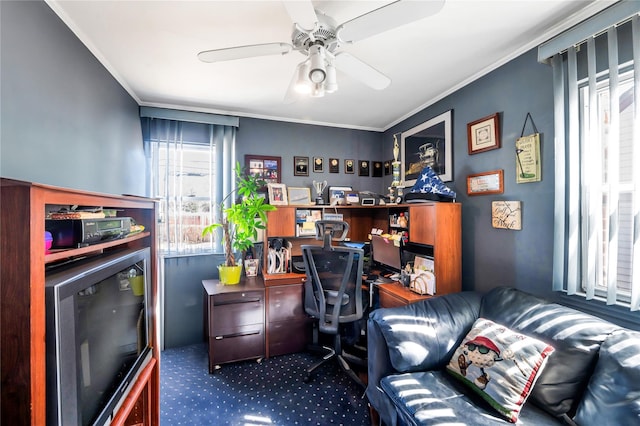 office with crown molding, carpet floors, and ceiling fan