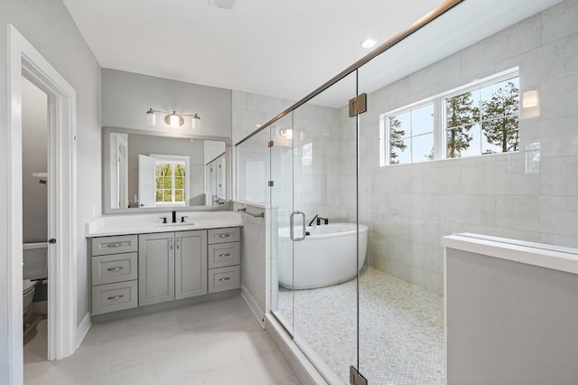 bathroom with a wealth of natural light, toilet, a stall shower, and vanity