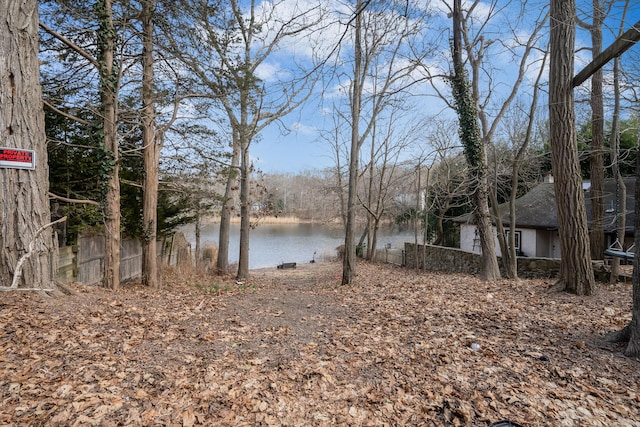 water view with fence