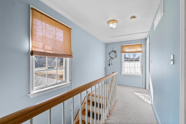 corridor featuring an upstairs landing, carpet flooring, attic access, and visible vents