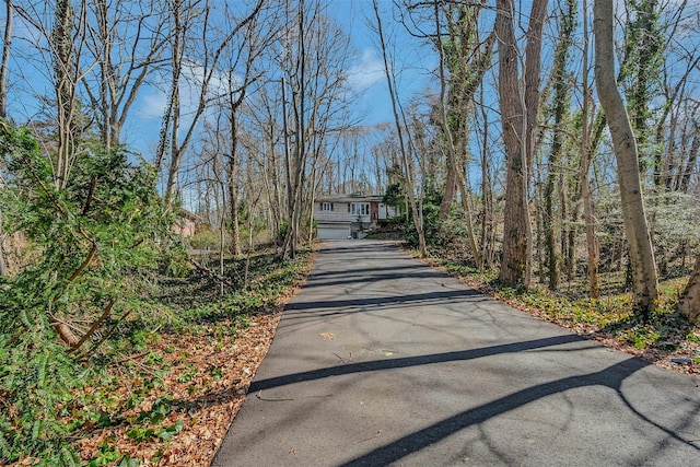 view of street with driveway