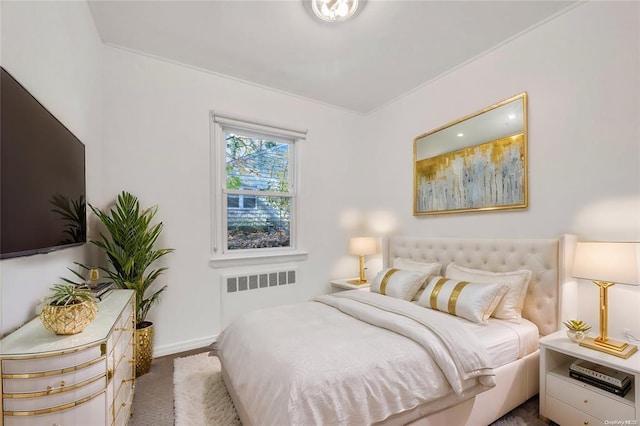 21 Ravine Rd, Great Neck, NY 11023 - bedroom with radiator, carpet, and baseboards