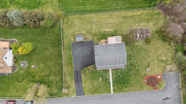 bird's eye view