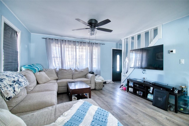 living room with crown molding, wood finished floors, and ceiling fan