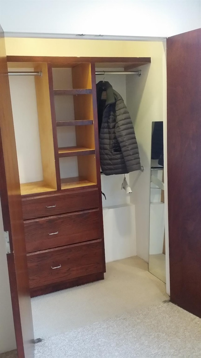 view of closet