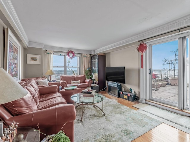 living area with wood finished floors and ornamental molding