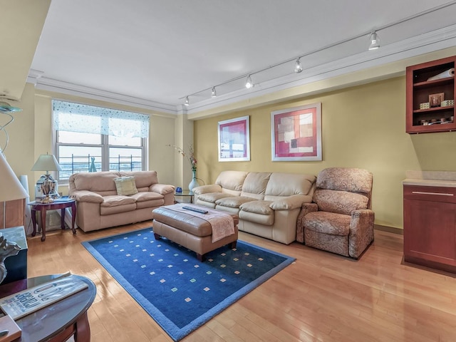 living area with light wood-type flooring and ornamental molding