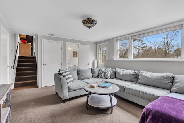 carpeted living area with crown molding, stairway, and visible vents