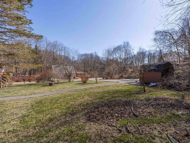 view of yard with a storage shed and an outdoor structure