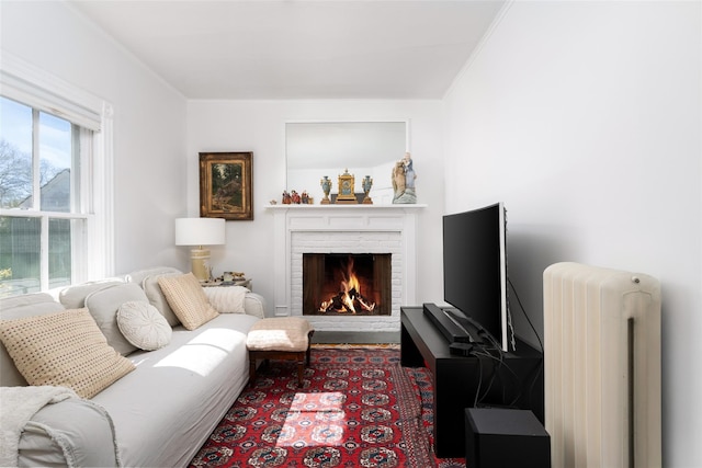 living area with a fireplace, radiator, and ornamental molding